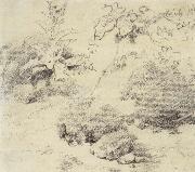 Thomas Gainsborough Study for a Foreground,a Bank with Weeds and Thistles china oil painting artist
